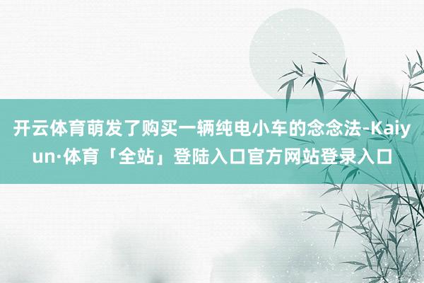 开云体育萌发了购买一辆纯电小车的念念法-Kaiyun·体育「