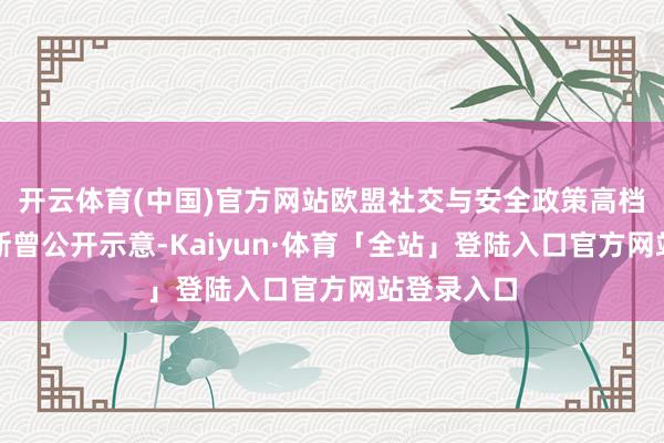 开云体育(中国)官方网站欧盟社交与安全政策高档代表卡拉斯曾公