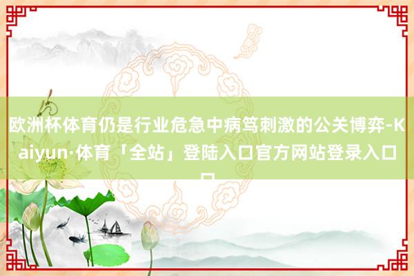 欧洲杯体育仍是行业危急中病笃刺激的公关博弈-Kaiyun·体