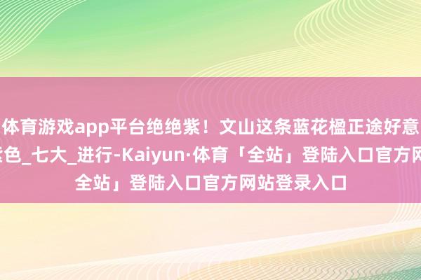 体育游戏app平台绝绝紫！文山这条蓝花楹正途好意思羽化境_紫