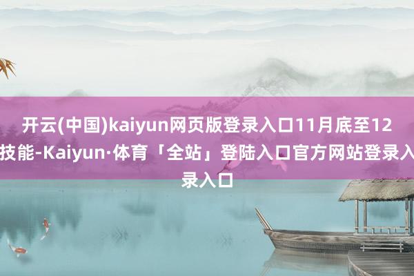 开云(中国)kaiyun网页版登录入口11月底至12月技能-Kaiyun·体育「全站」登陆入口官方网站登录入口